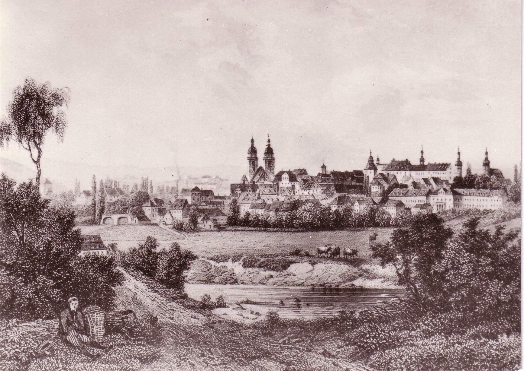 04 013 Plauen um 1825,vom Osten her gesehen
